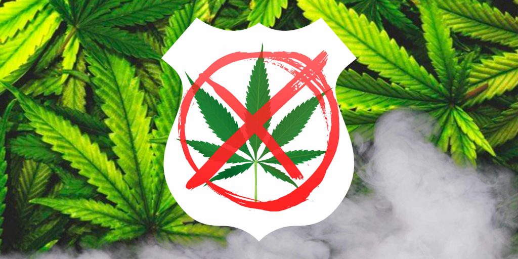 Law Enforcement Marijuana Usage