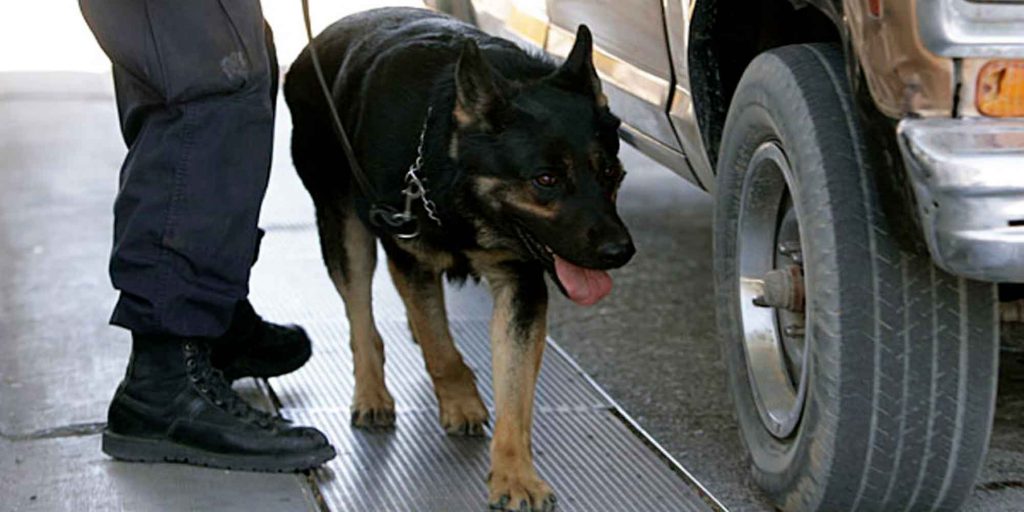 Dog Sniff Didn’t Unlawfully Prolong Traffic Stop